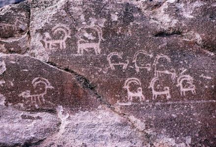 380 wideIbex Rock Carvings Hunza Valley.JPG