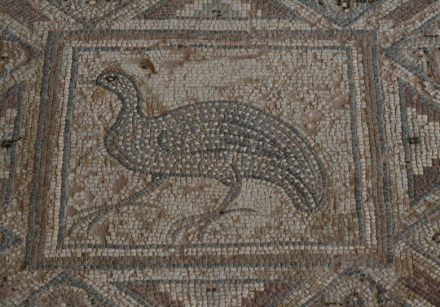 house of eustolios mosaic 3.jpg