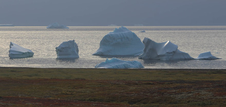 icebergs at waterfall bay 1 of 2.jpg