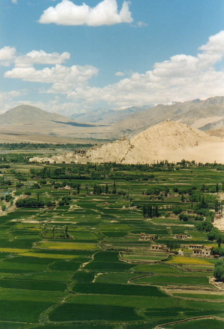indus valley at leh.jpg